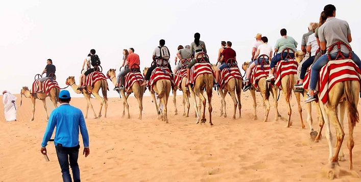 VIP Desert Safari with Pickup
